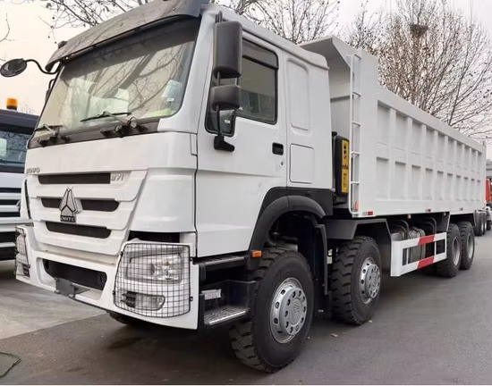 12 타이어 HOWO 8X4 신형 덤프 트럭 Euro2/3 50톤 아프리카 시장 공장 가격